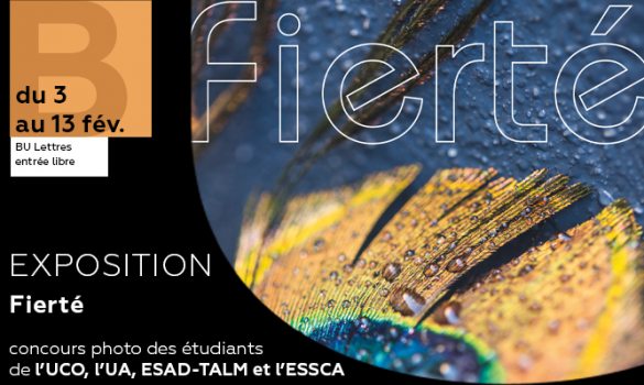 du 3 au 13 février, exposition FIERTE